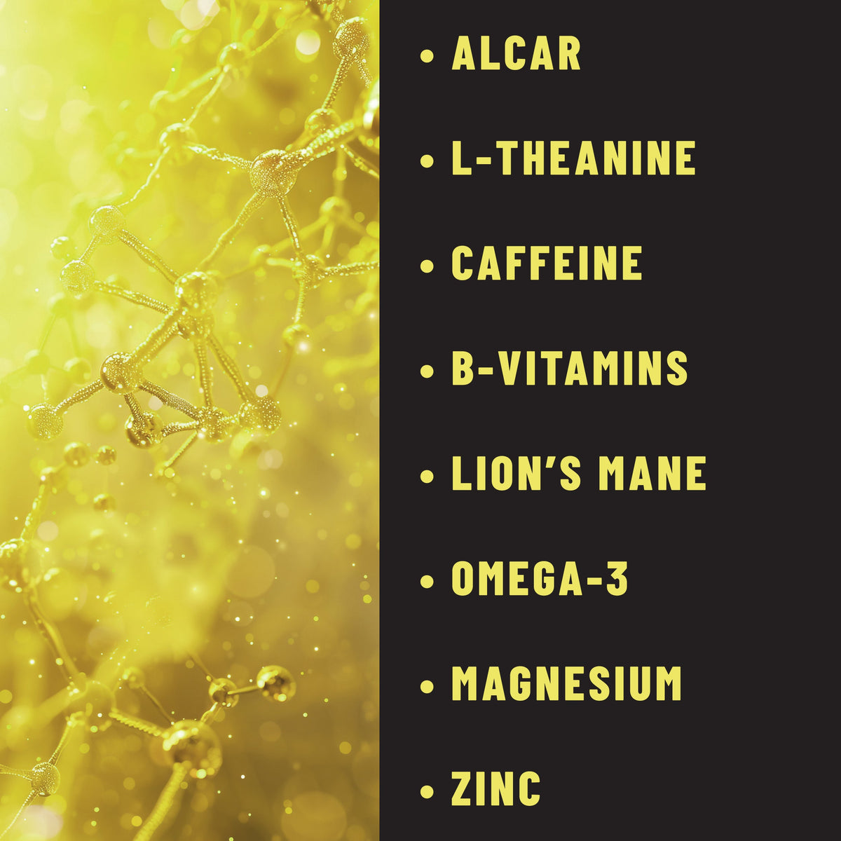 Focus Patches Mental Clarity & Energy with ALCAR, Caffeine, L-Theanine, B-Vitamins, Lion’s Mane, 36 patches